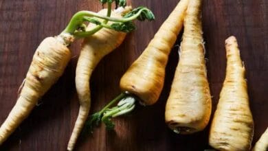 Parsnip Cultivation