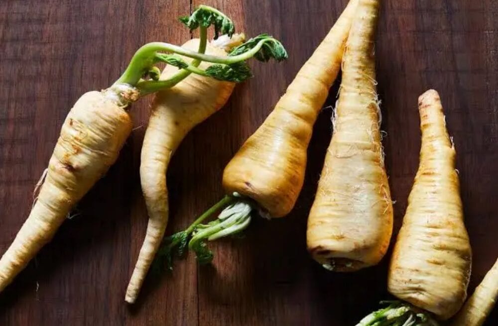 Parsnip Cultivation