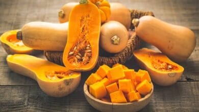 Squash Cultivation