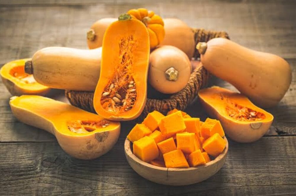 Squash Cultivation