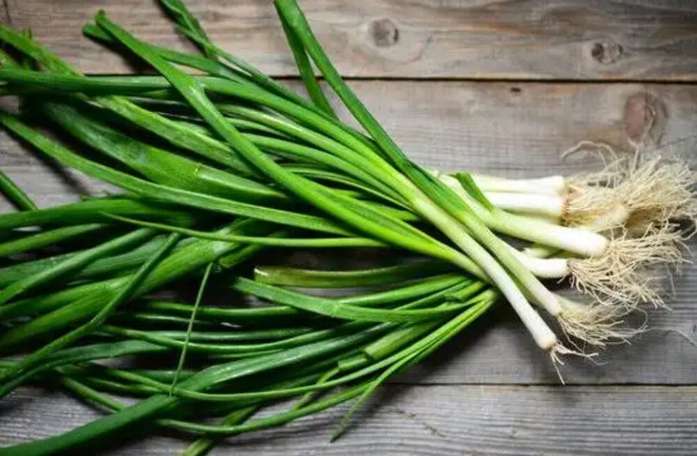 Take Care of Spring Onion
