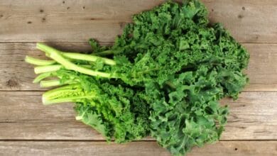 Kale Growing