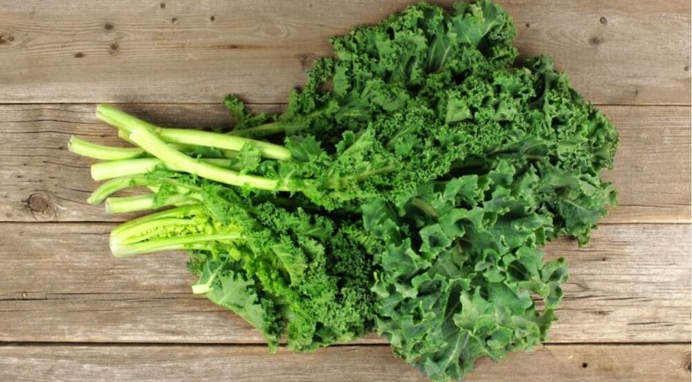 Kale Growing