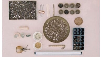 The Best Seed Starting Soil Mix, Trays, and LED Lights for Indoors