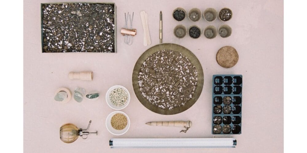 The Best Seed Starting Soil Mix, Trays, and LED Lights for Indoors