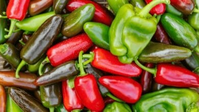 The Best Varieties of Peppers