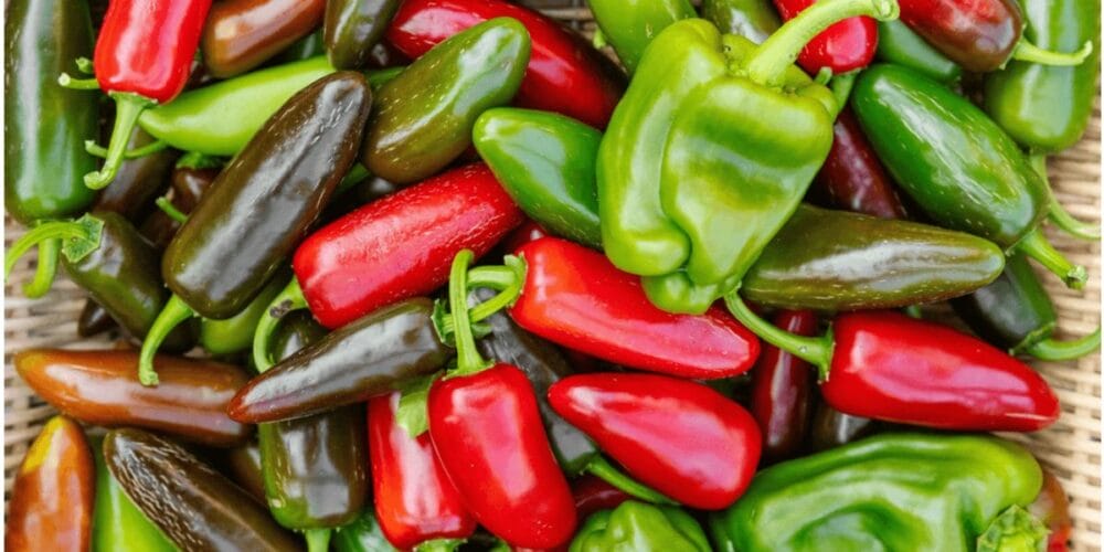 The Best Varieties of Peppers