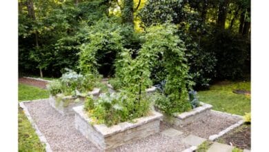 The Complete Guide to Vertical Gardening