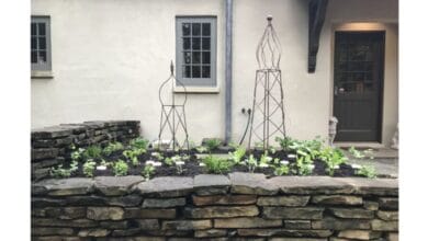 The Pros and Cons of Stone Raised Garden Beds