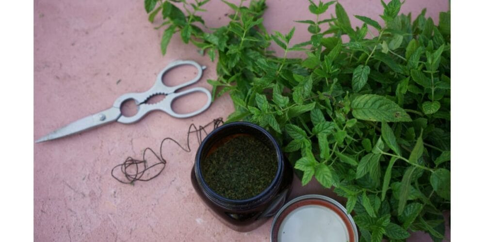 from Your Organic Herb Garden