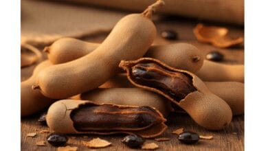 How to Grow Tamarind