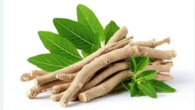 Ashwagandha Growing Guide