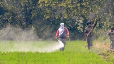 Global Pesticide Toxicity