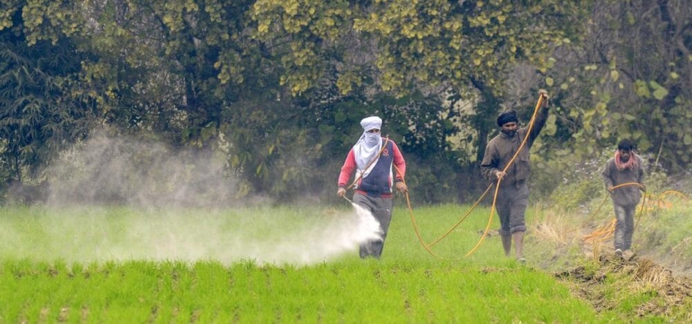 Global Pesticide Toxicity