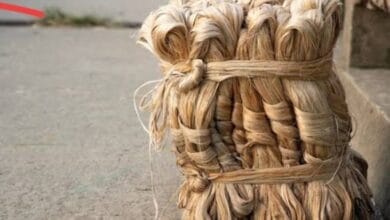 Raw Jute
