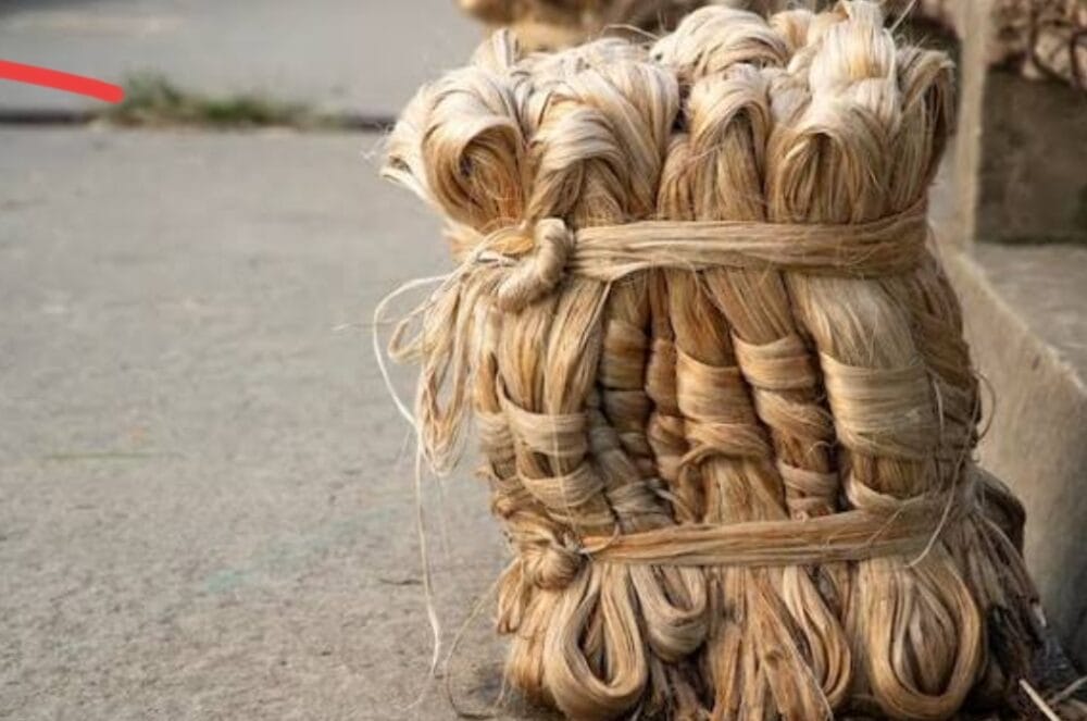 Raw Jute