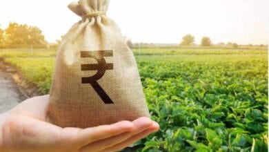 Fertiliser Subsidy to Farmers