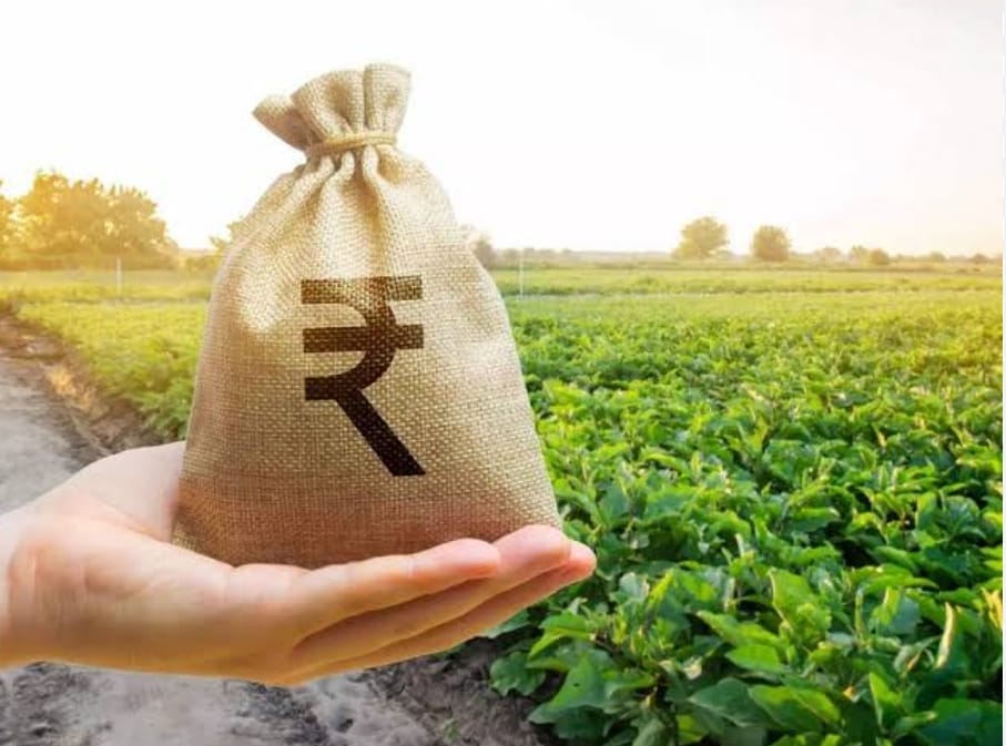 Fertiliser Subsidy to Farmers