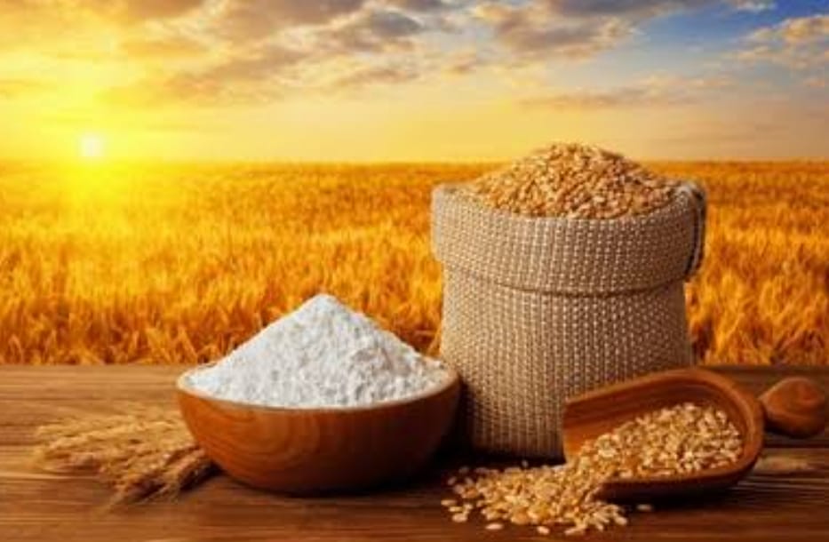 wheat varieties to solve crop cycle disruption
