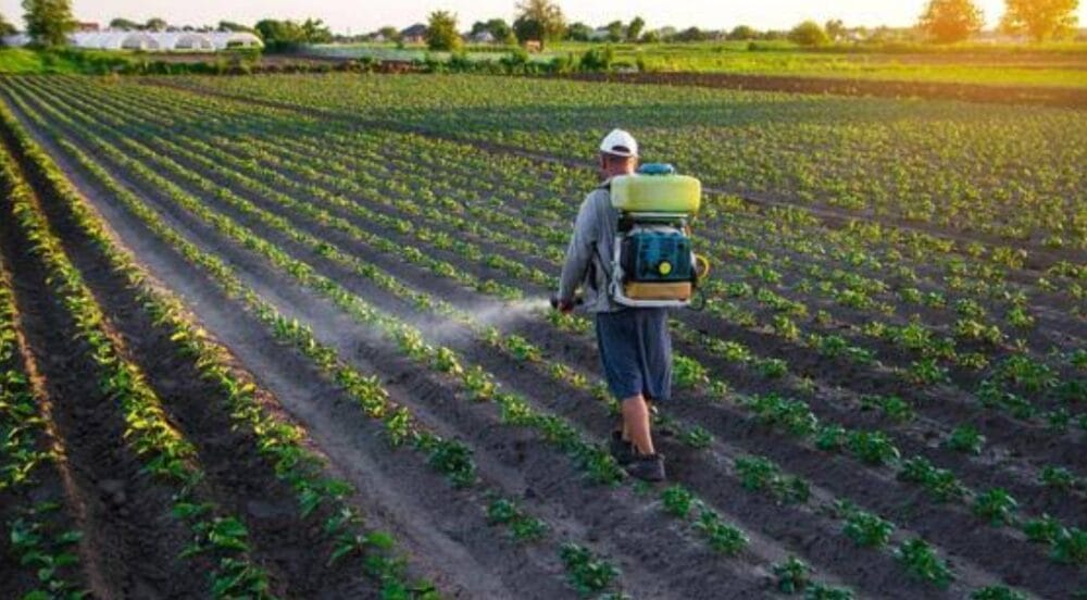 How Using Pesticides In Your Garden Can Damage The Health Of Your Soil