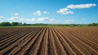 agricultural fi