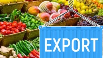 Export Sales to Unknown Destinations Reported in Latest USDA Data