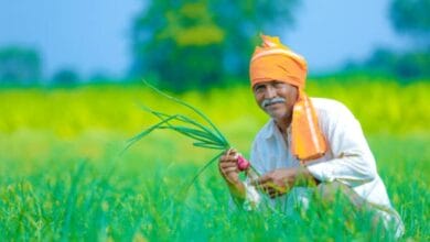 ICAR-CTCRI Organises Farmers’ Training and Input Distribution Programme at Pallakkal, Tirunelveli