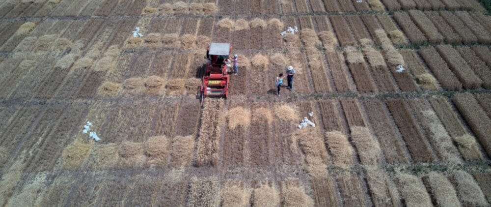 FAO Food Price Index rises in February for first time in five months