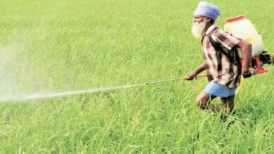Over ₹15,300 crore proposed for agriculture, allied sectors: Punjab FM