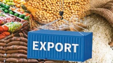 Prolonged west Asia conflict to impact India’s $11.8 billion agri-food exports: GTRI
