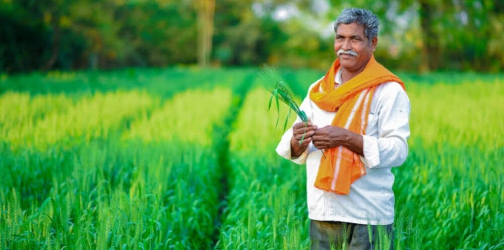Agriculture: From traditional farming to global opportunities
