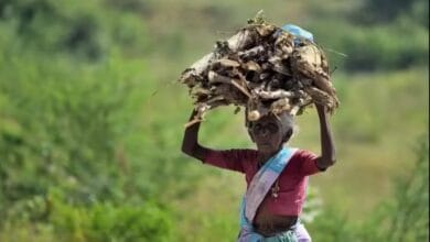 Women face rising dependence on farm labour in Telangana