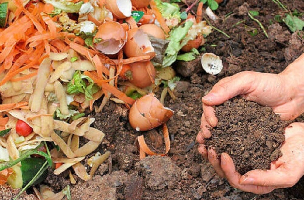 Australia-India partnership takes step closer to green steel through world-first use of ag waste in steelmaking