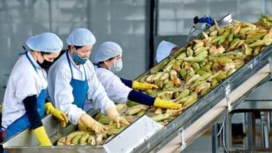 Proactive scenarios help respond to agricultural export risks