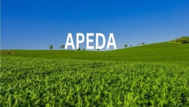 APEDA Seeks Alternate Routes for India’s Agri Exports