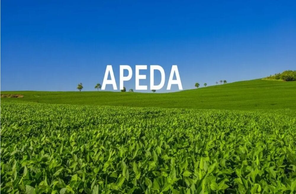 APEDA Seeks Alternate Routes for India’s Agri Exports