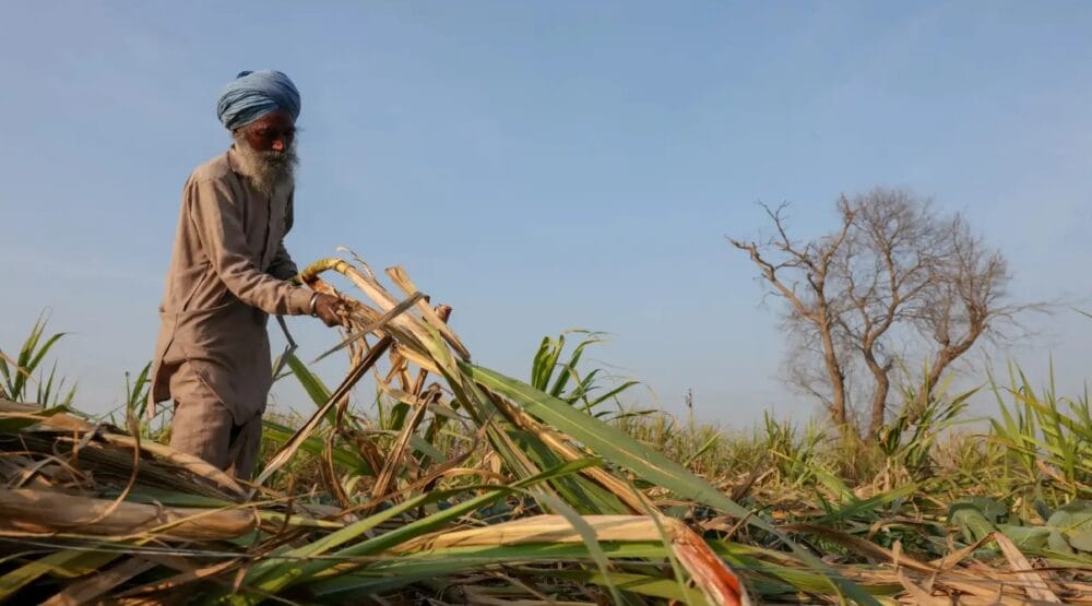 Diversify agriculture and encourage farmers to grow pulses, Supreme Court tells government