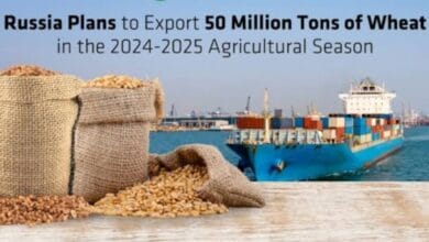 Russia's revenue from exporting agricultural products to EAEU reaches record $9 bln in 2025
