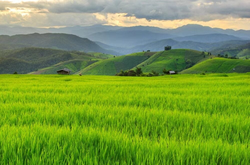 Climate-resilient agriculture may benefit farmers' incomes - European Environment Agency