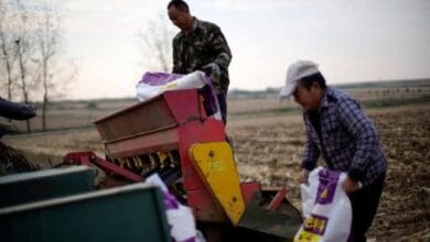 War with Iran drives fertilizer prices higher, pressuring South Carolina farmers
