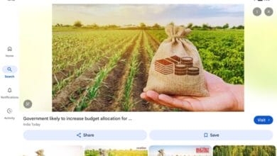 Majority of employment creation in agriculture
