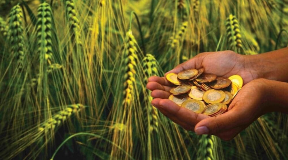 KCR era was golden period for agriculture