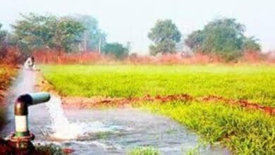 Govt accelerating irrigation projects