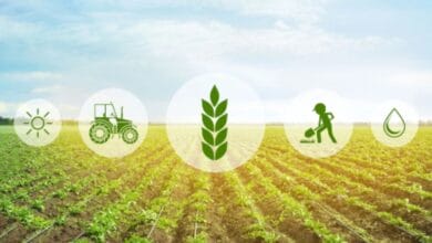 When academic excellence digs into agricultural development