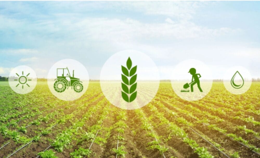 When academic excellence digs into agricultural development