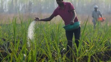 No quick fix for rising farm input costs