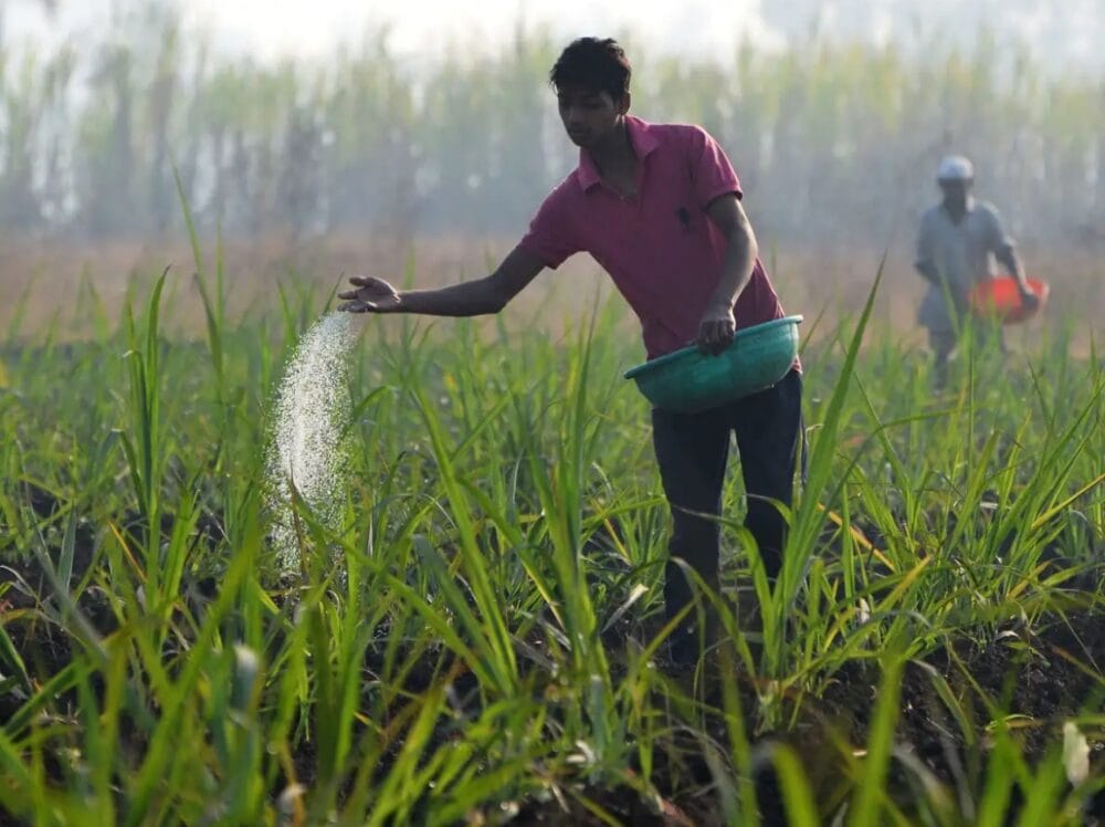 No quick fix for rising farm input costs