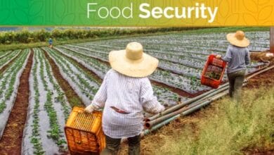 Food security and agriculture