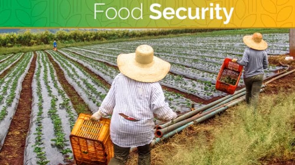 Food security and agriculture