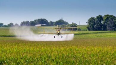 Fertilizer prices rising